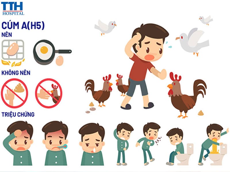 Một số lưu ý về biểu hiện nhận biết người bị nhiễm cúm A (H5N1) bạn cần biết