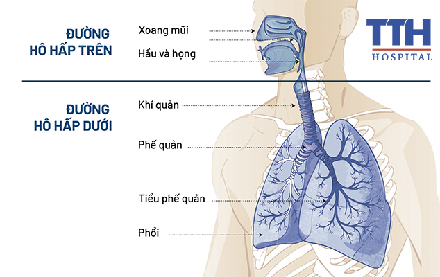 Nhiễm trùng đường hô hấp khi chuyển mùa